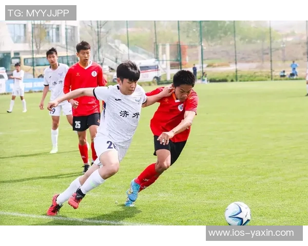 足球的魅力与激情让我热爱这项运动的心路历程